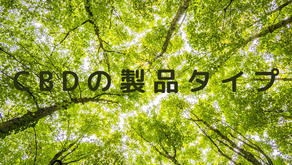 CBD【製品タイプ】