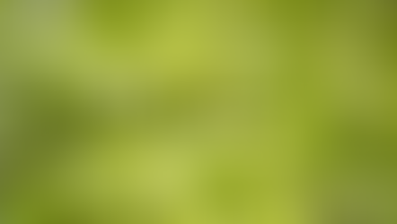 CBD【製品タイプ】