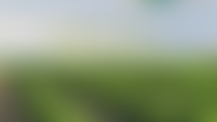 【CBD】知れば知るほど奥が深い!!