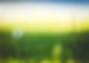pexels-flower-1851461_1920.jpg
