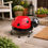 Thumbnail: Entryway Decor, Landscape Decor, Patio Decor, Porch Decor, Outdoor Decor, Home Decor, ladybug, Lady Bug Decoration