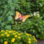 Handmade Butterfly Garden Stakes - Metal Garden Stakes - Butterfly Stakes - Butterfly Pot Stakes - Outdoor Decor