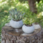 Thumbnail: Miniature zen garden crafted in a hand-carved stone planter with sand, rocks, and succulents for a peaceful touch.