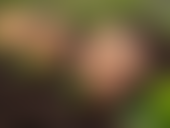 Thoughtful Personalized Garden Gifts for Any Occasion: Unique Garden Gift Ideas