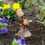 Thumbnail: Mushroom Home Accent - Garden Ornament - Patio Decor - Porch Decor