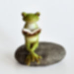 Cute Frog Reading and Sitting on Stone