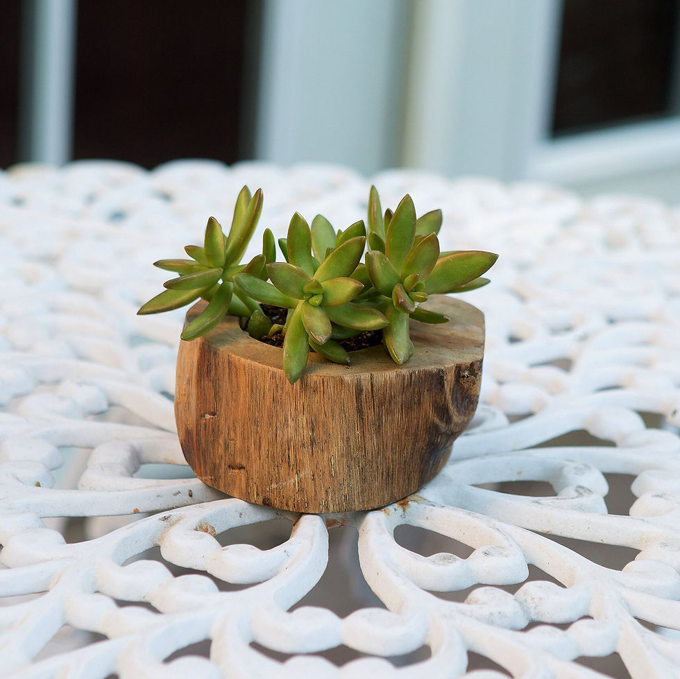 Thumbnail: Small, hand-carved teak planter, ideal for succulents and adding a touch of nature to any space. (Size: 4" x 4" x 3")