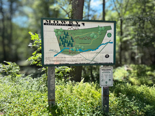 Sign marking the start of the nature trail at Mowry Conservation Area in Rhode Island, surrounded by trees and summer greenery.