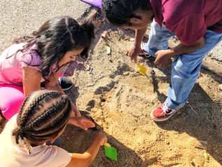 We Are Paleontologists!