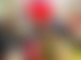 Ms. Krabbendam's Weekly Highlights