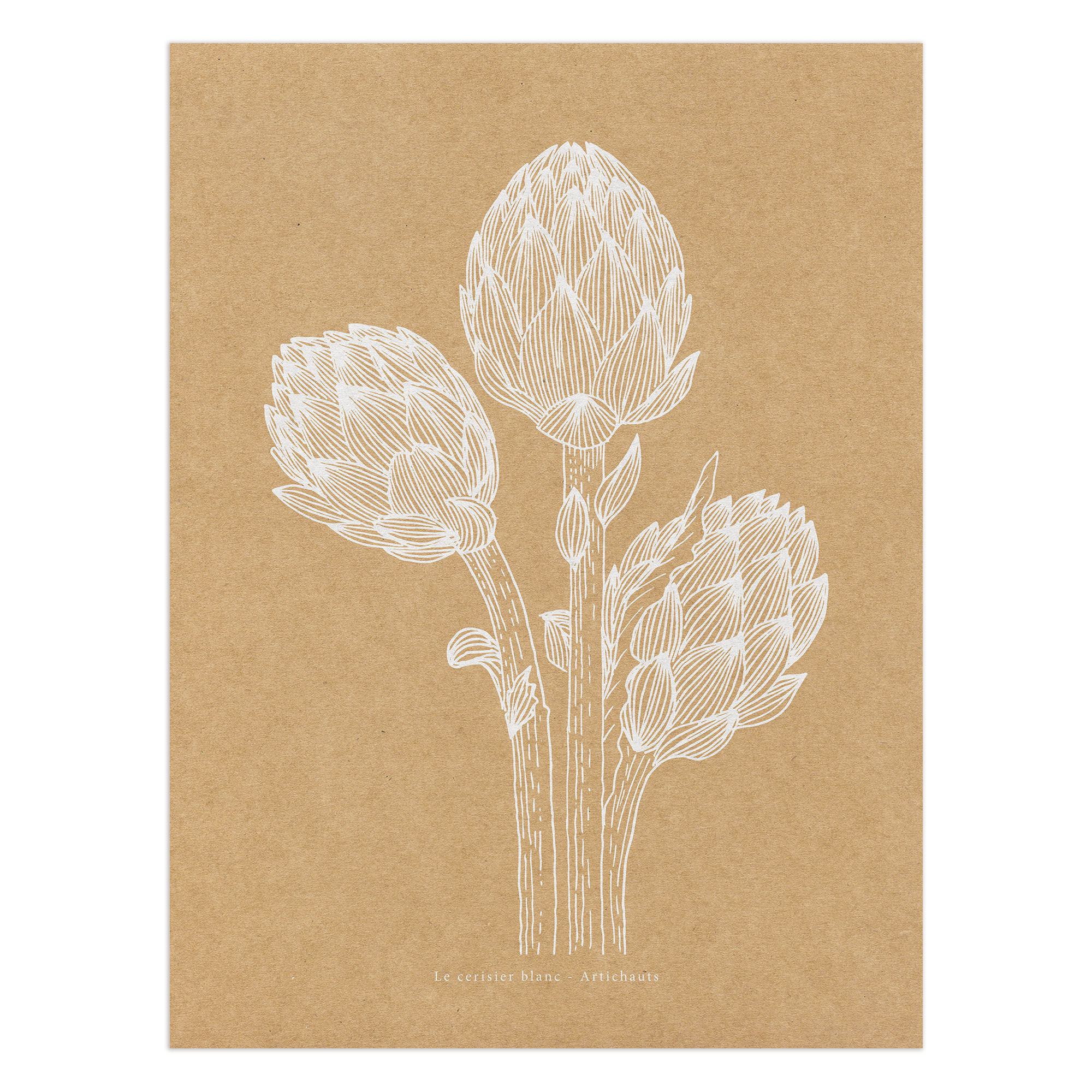 Affiche Kraft "Artichauts"