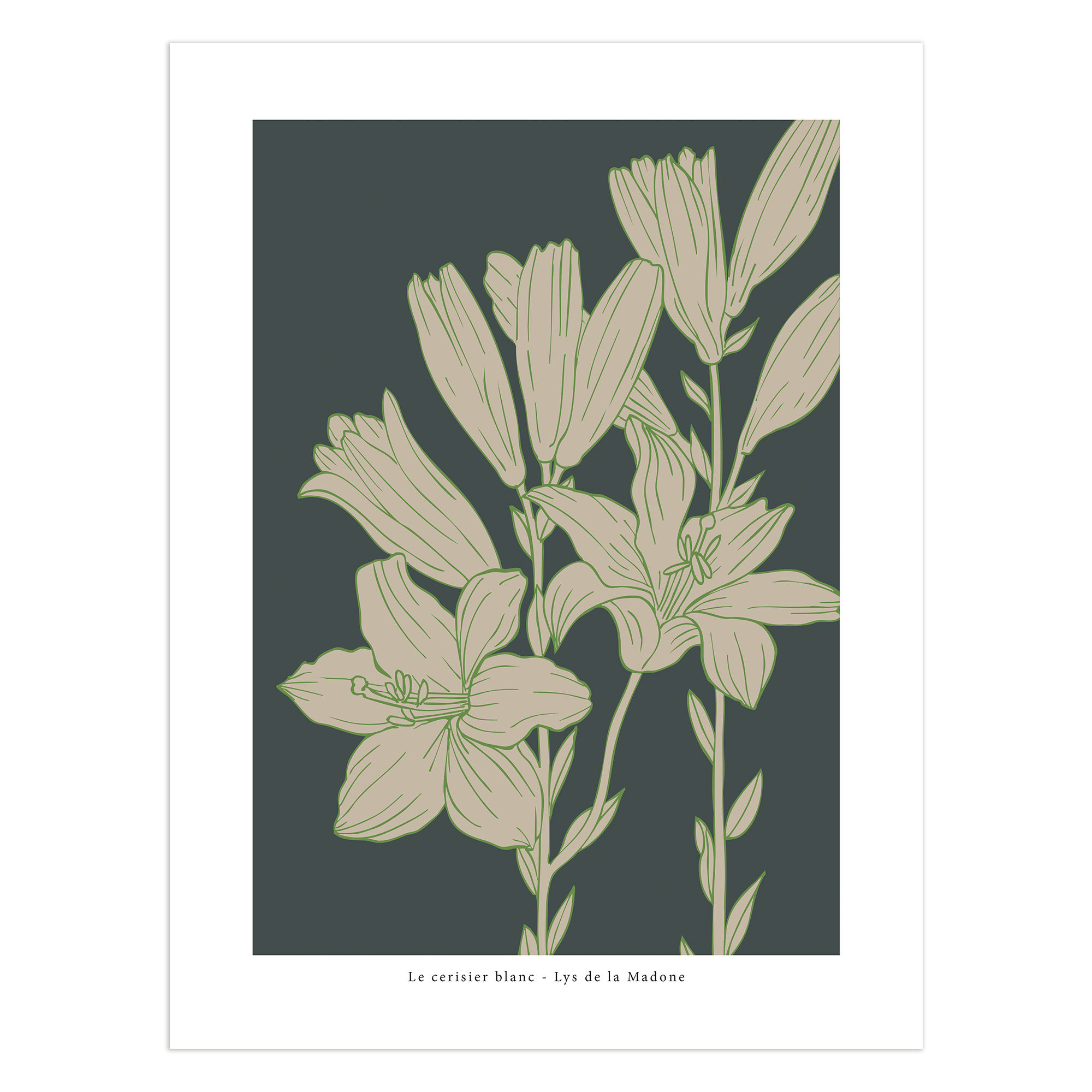 Affiche "Lys de la Madone..."