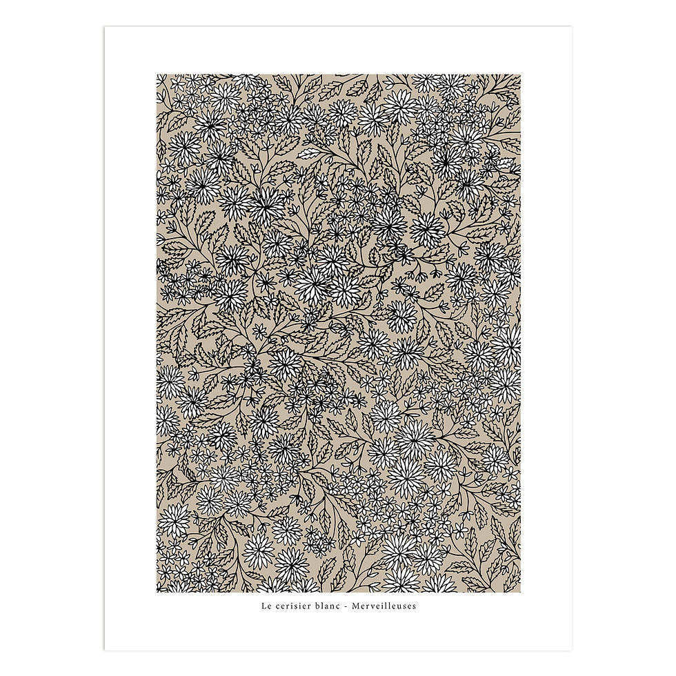 Affiche merveilleuses