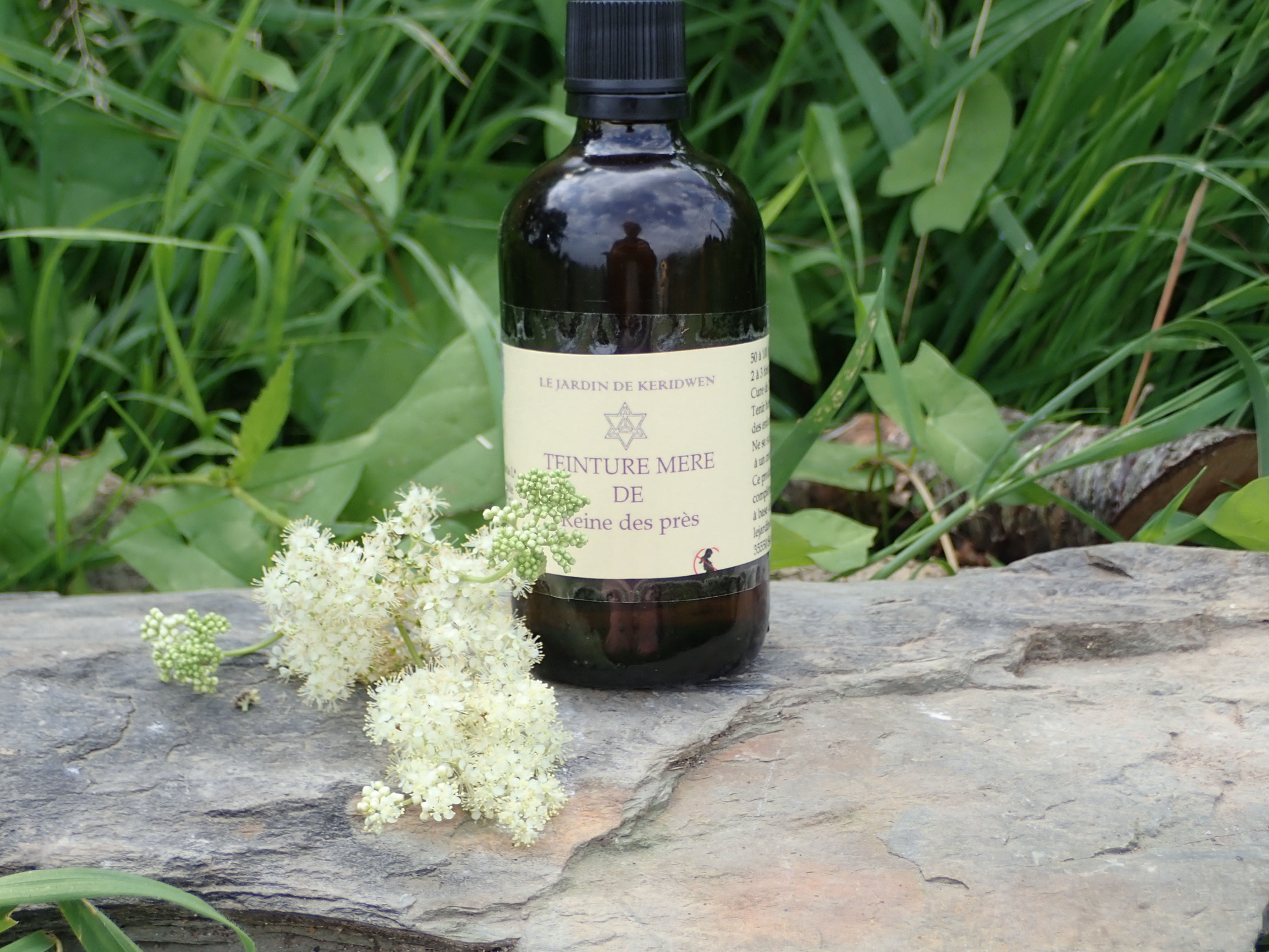 Teinture mère de Reine des près