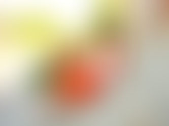 Lauren's Grad Portraits at Clemson University | Clemson Photographer