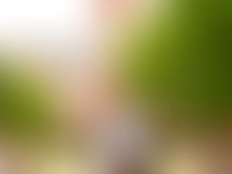 Why You Should Book a Spring Session for Your Clemson Graduate Portraits