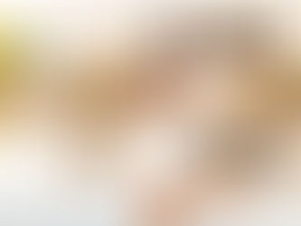 A Heartfelt Thank You and Congratulations to Our Incredible Clemson Graduates!