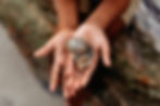 closeup-child-hands-holding-shells-contact-page.jpg