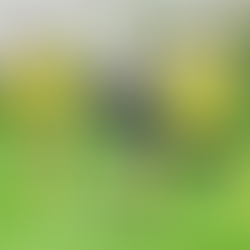 Wacker entscheidet Halbfinal-Krimi für sich