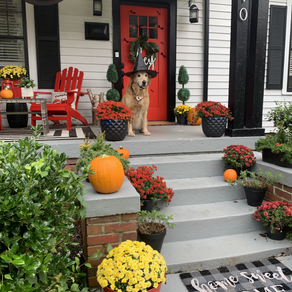 FALL & THANKSGIVING