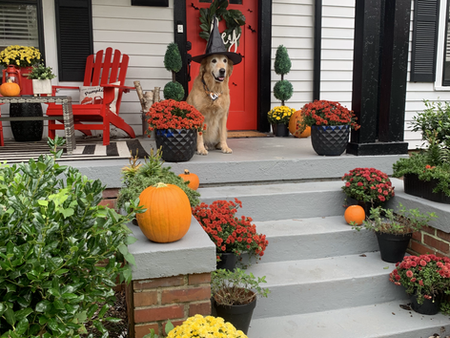 FALL & THANKSGIVING