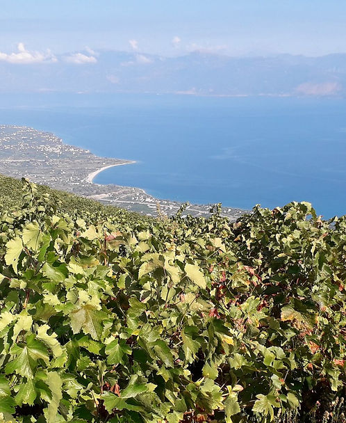 Kanakaris Winery