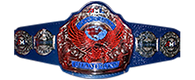 Title Belt