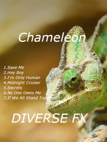Chameleon - Diverse FX first album | Diverse FX