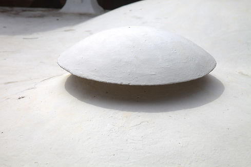 MP_03232025_0410.CR2