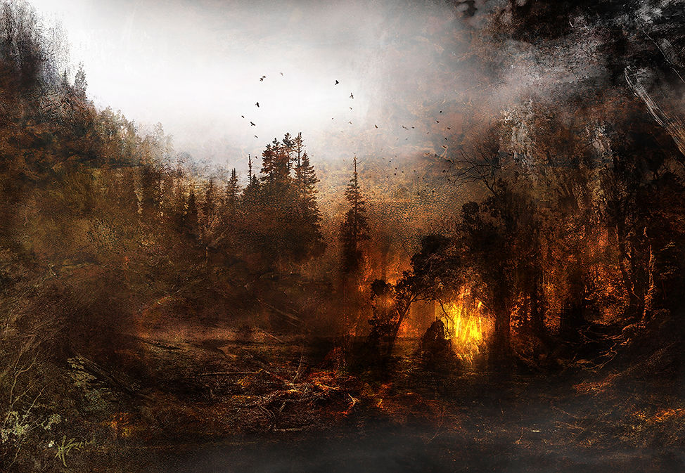 The Burning Woods