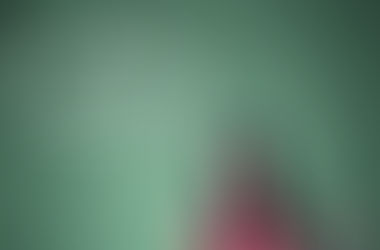 I Want to Buy a House, Now What?