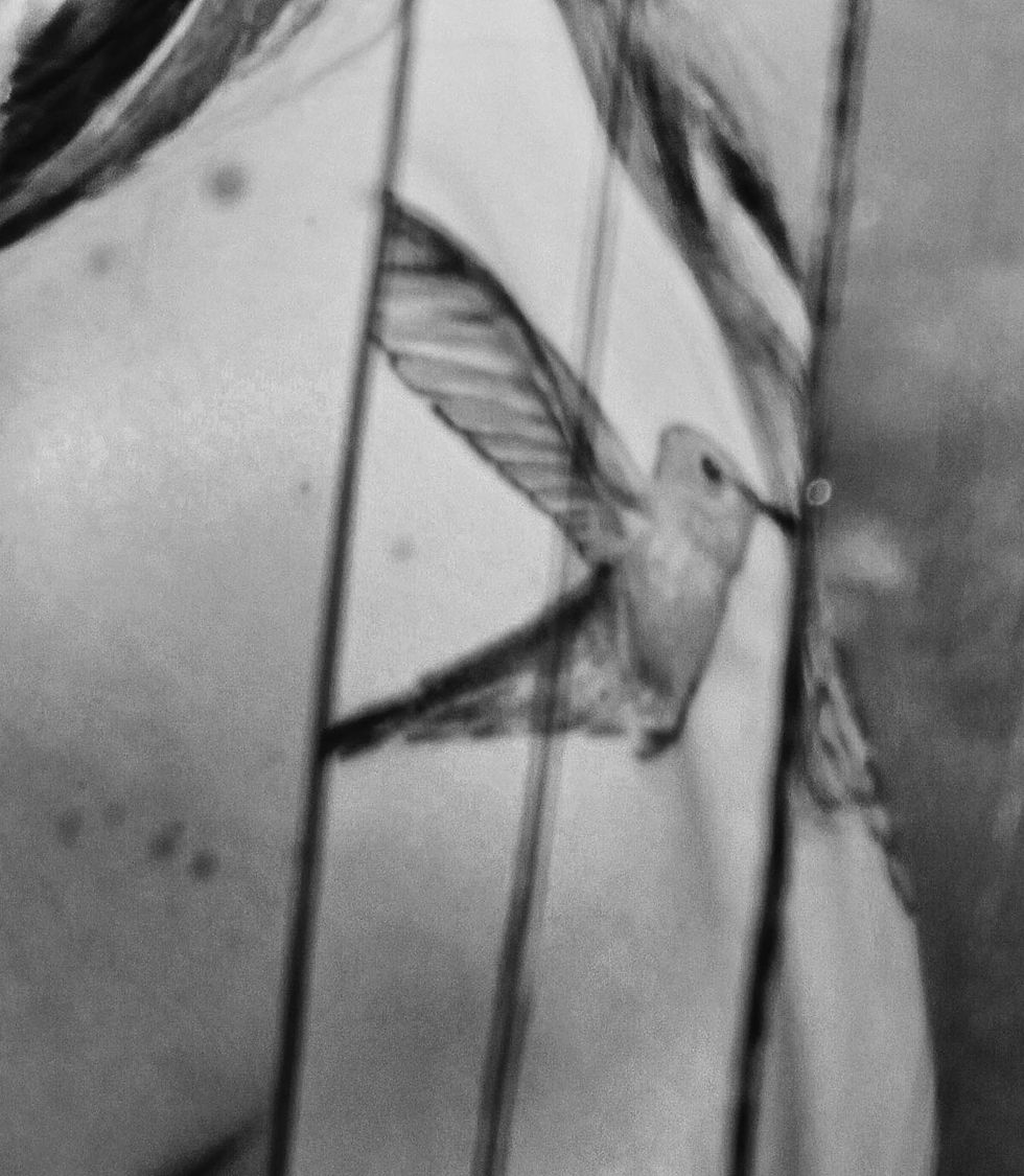 Thumbnail: Broken, 2016 - 50 x 75 cm