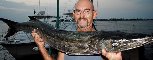 Barracuda