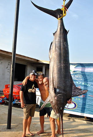 Marlin