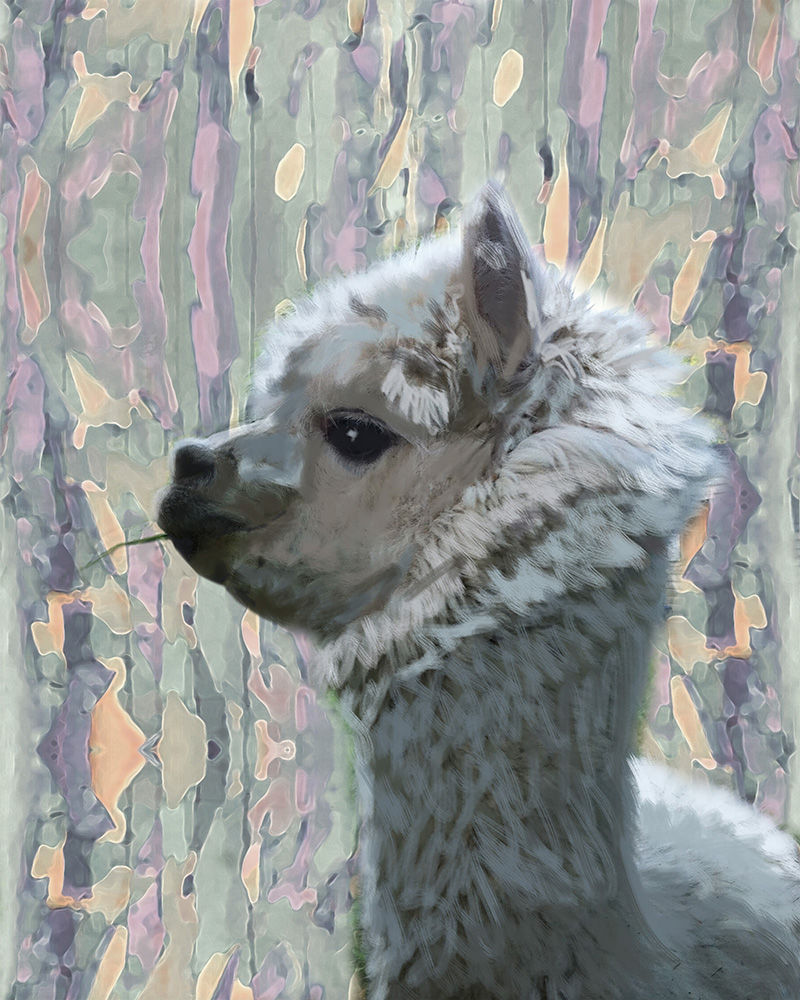 Pika, digital portrait