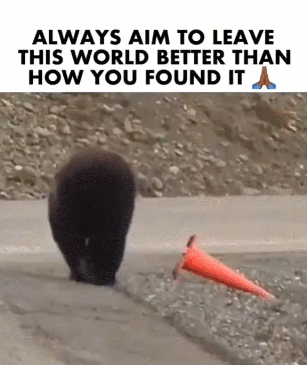 Bear Gif 1 Loop.gif