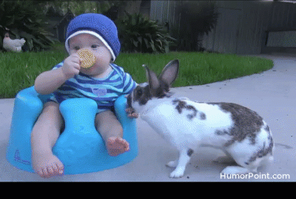 Funny Humor on HumorPoint