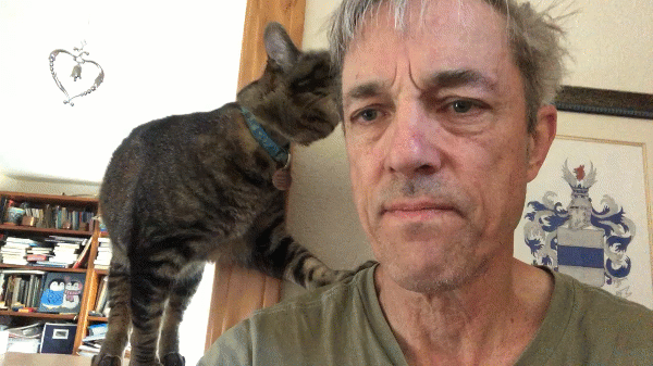 Snuggles on Ledge.gif