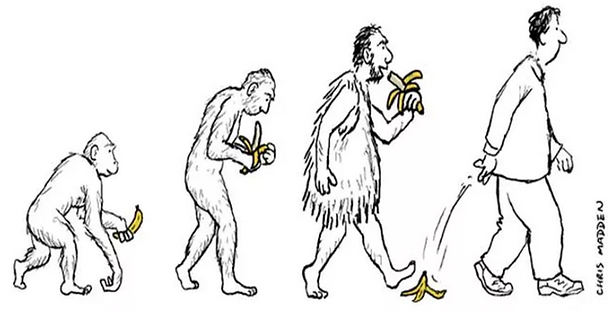Funny Humor on HumorPoint