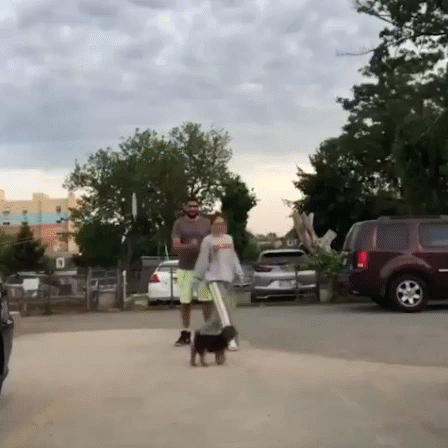 Run in Opposite Direction to see who your dog is loyal to.gif