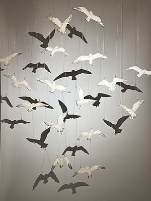 02_Benton_Seagull Flock shadows.jpeg