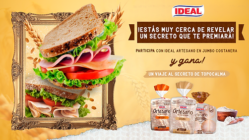 PUSH pag 13 antiguo---.png