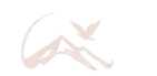 Design ohne Titel (1).png