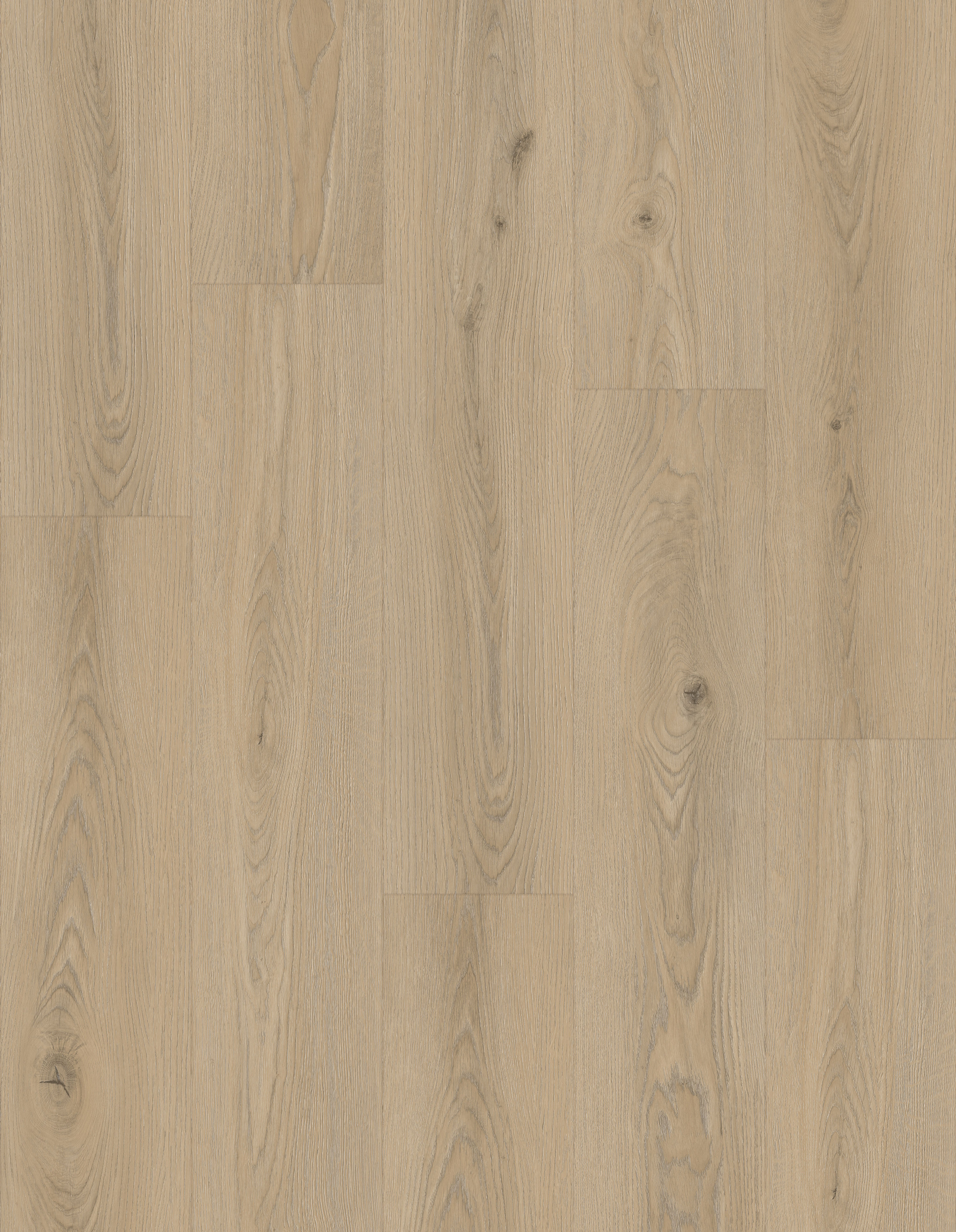 FS216 "Dewey Meadow Oak"