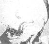 115_edited_edited.png