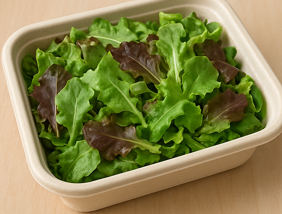 ChatGPT Image Oct 15, 2025, 12_13_36 PM.png