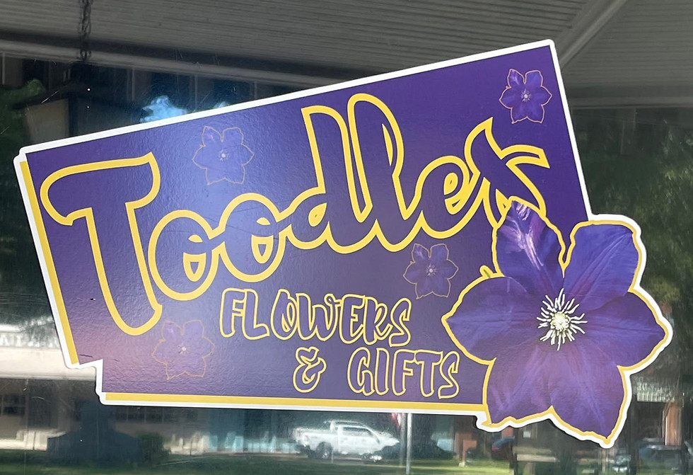 toodles.jpg