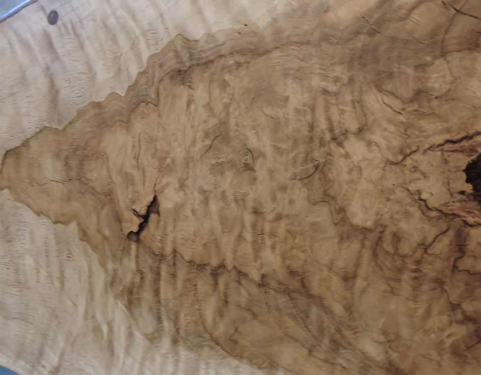 Smiling Oak 2.JPG
