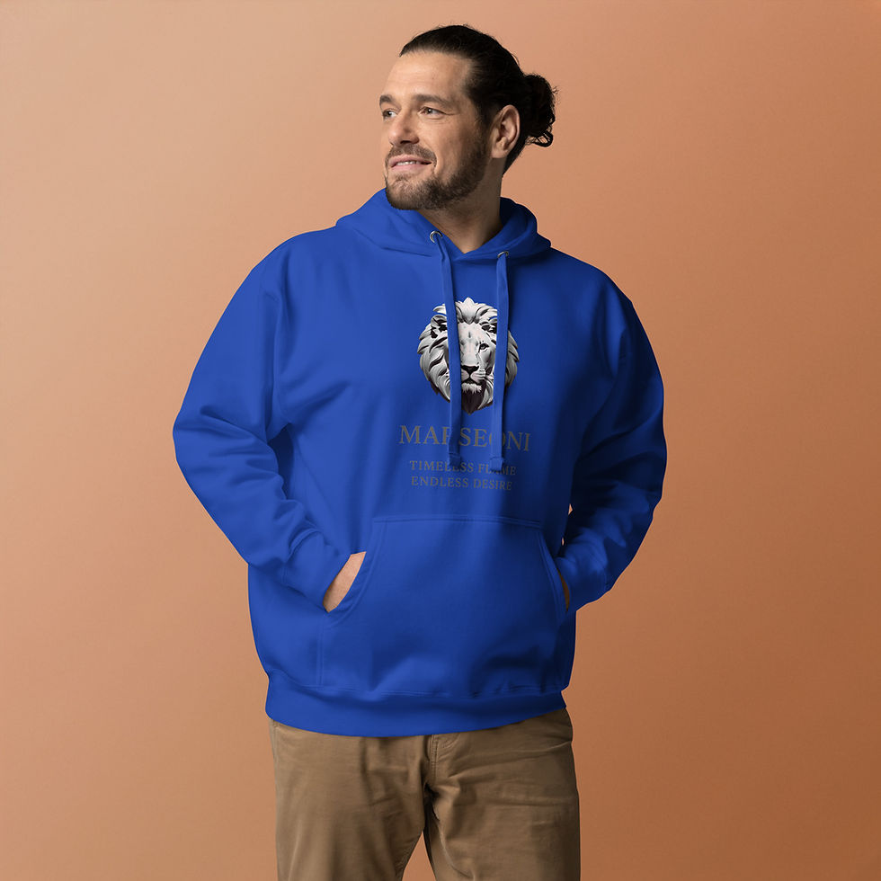 Miniature : MARSEONI's Staple hoodie with large embroidery