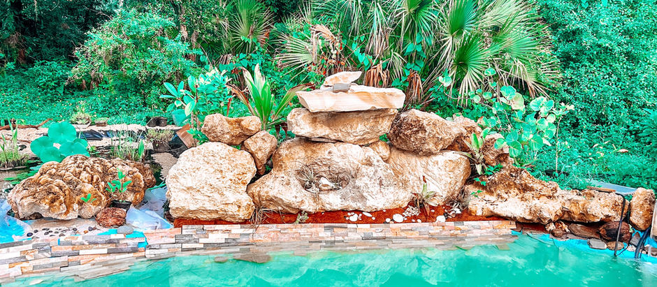Project Highlight- Natural Swimming Pool for under $1K